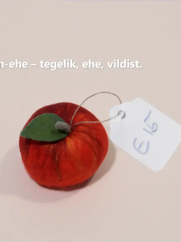 Õun-ehe - tegelik, ehe, vildist, 26g.